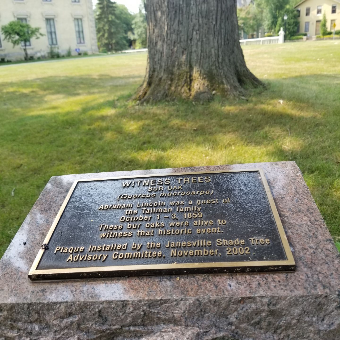 JVG_210720_LINCOLN_3